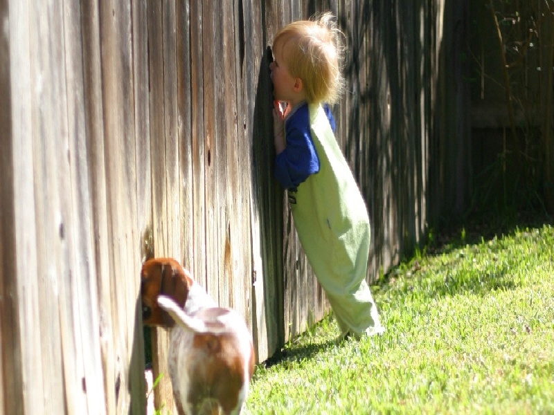 试管代孕医疗环境